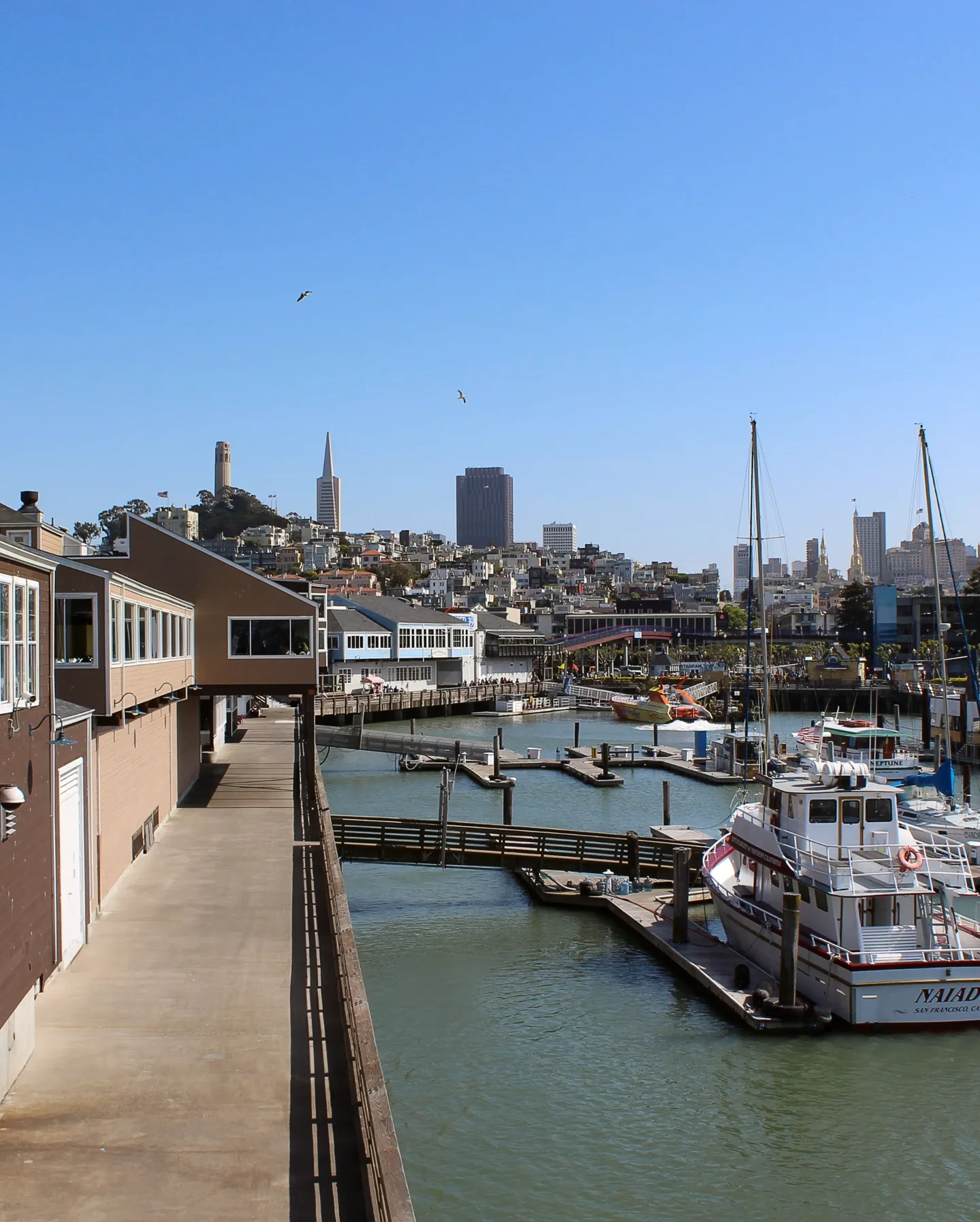 San Francisco harbor with Coit Tower and Transamerica Pyramid